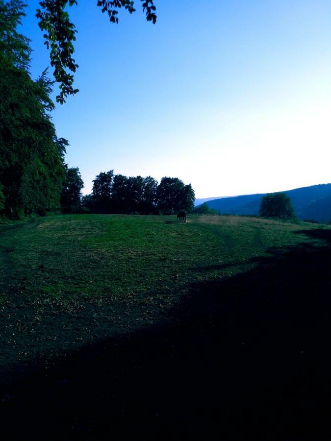 Au Havre Du Circuit Villa Malmedy Exteriör bild